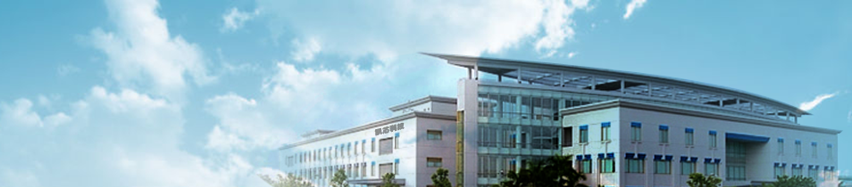 Company Profile
